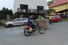 DSCF8237