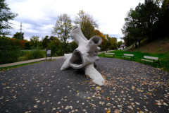 DSCF2773