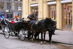 DSCF1888