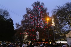 DSCF1968